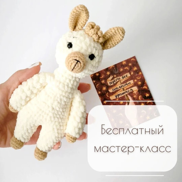Альпака, лама. Лама